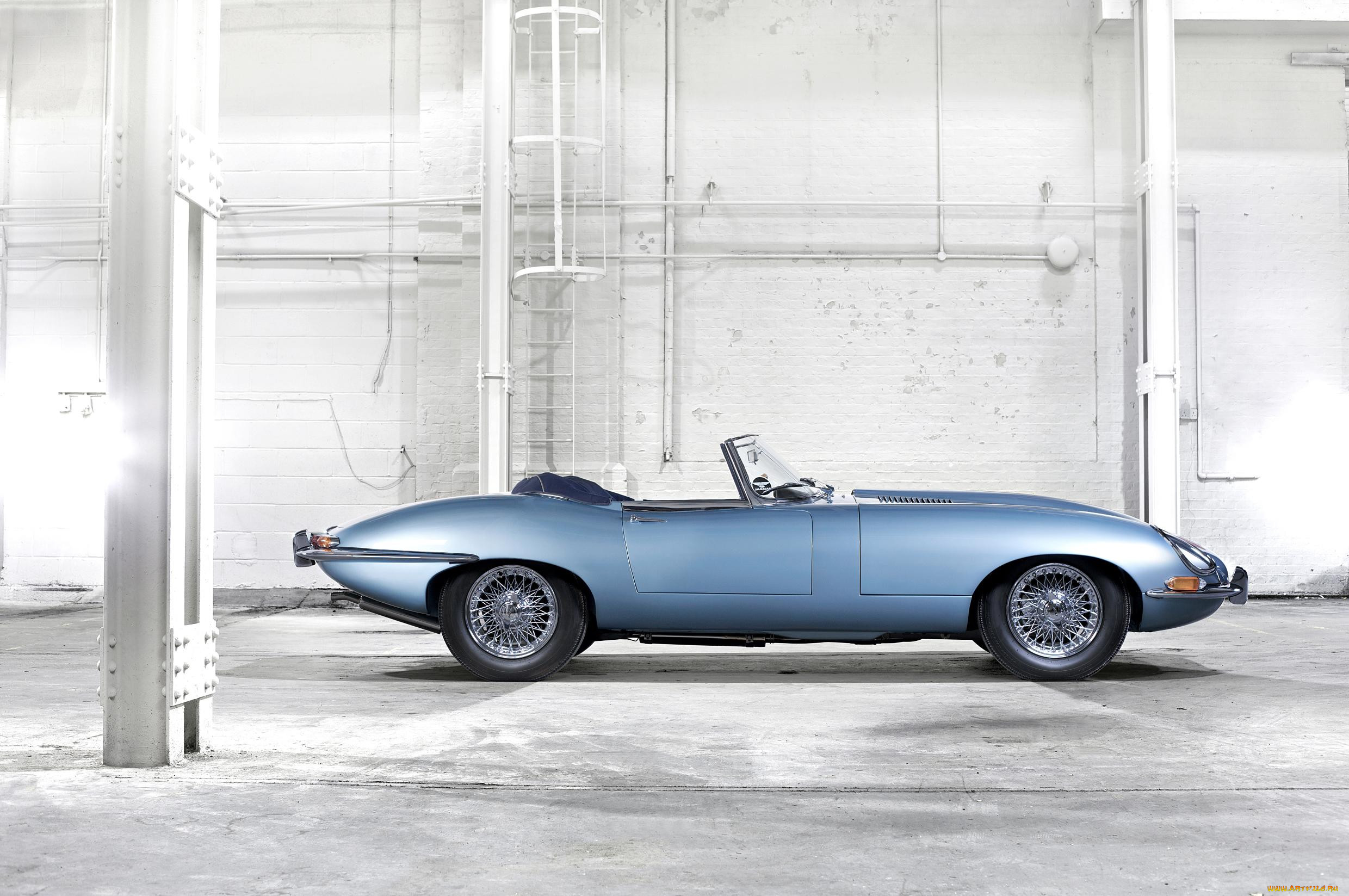 , jaguar